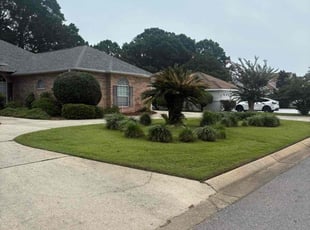 Chris C.'s grass maintenance service result