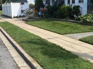 Shannika M.'s grass cutting service result