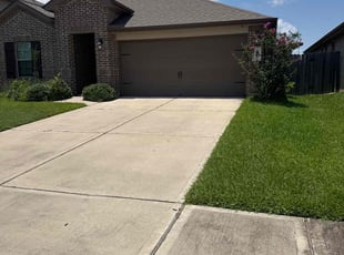 Salena G.'s lawn care service result