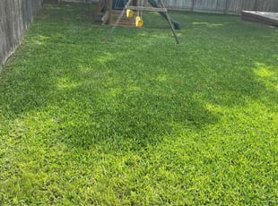 Bart T.'s grass cutting service result