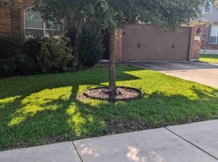 Randy S.'s grass maintenance service result