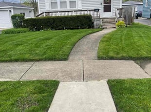Chris N.'s lawn care service result