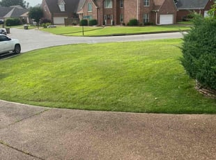 William L.'s lawn service service result