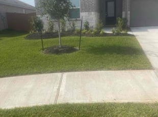 Carina H.'s grass maintenance service result