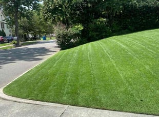 Sequoah R.'s grass cutting service result