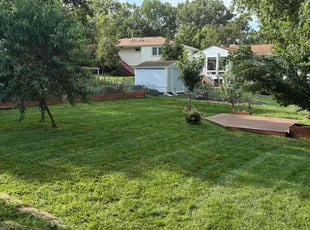 Mary B.'s grass cutting service result