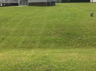 Julie T.'s lawn care services service result