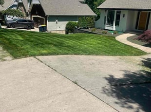 Matthew V.'s lawn care services service result