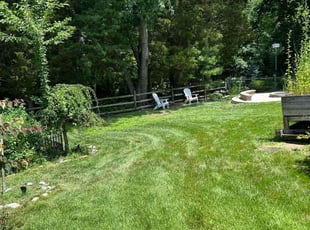 Frank V.'s lawn care services service result