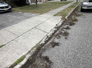 Betty A.'s turf maintenance service result