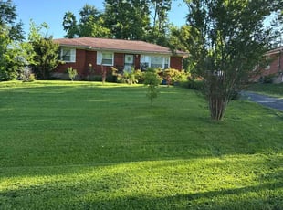 Patricia B.'s turf care service result