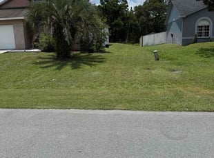 Brenda R.'s turf maintenance service result