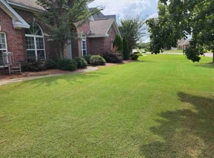 Erik M.'s Lawn Mowing service result