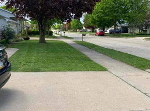 Trelvaughna W.'s lawn care service result