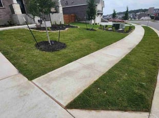 David D.'s lawn service service result