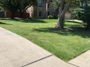 Bilal A.'s grass maintenance service result