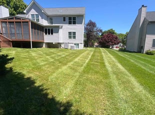 Lindsey S.'s lawn care service result