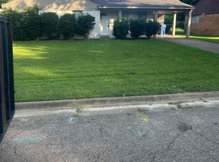 Lillian C.'s turf care service result