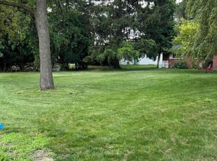 Edward A.'s turf care service result