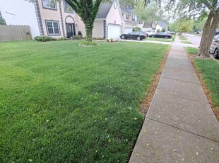 Daryl L.'s lawn care services service result