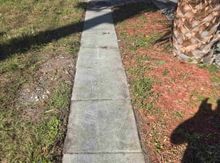 Kathryn M.'s lawn care services service result