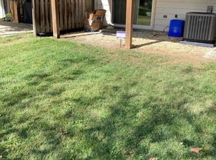 Michael S.'s lawn care services service result