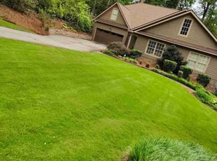 Jared U.'s grass maintenance service result