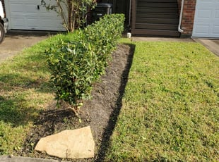 Shane Z.'s Bush Trimming service result