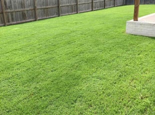 David K.'s grass cutting service result