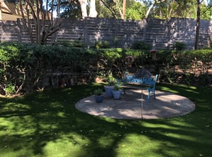 Tracy H.'s Bush Trimming service result