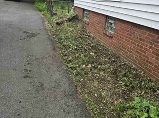 Fred M.'s Bush Trimming service result