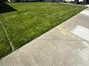Alexandra S.'s turf maintenance service result