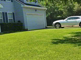 Melody T.'s turf maintenance service result