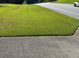 Carol J.'s grass maintenance service result