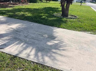 Kavell C.'s lawn care services service result