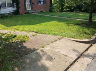Kelly O.'s lawn care service result