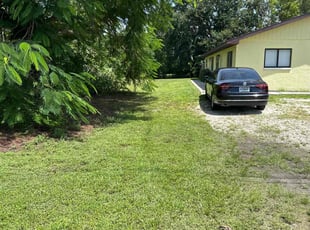 Alita C.'s grass maintenance service result