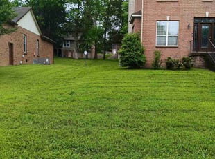 Mark M.'s turf care service result