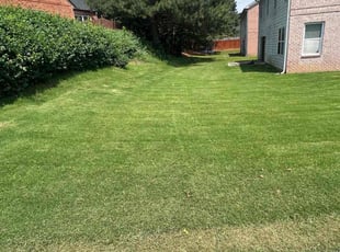 Linda L.'s lawn care service result