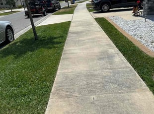 Anna R.'s turf maintenance service result