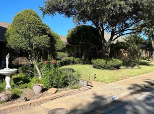 Saul B.'s lawn care service result