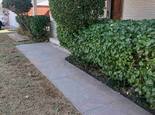 Anna C.'s Bush Trimming service result