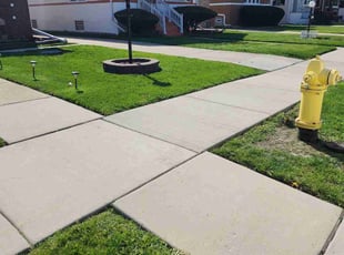 Erica O.'s grass maintenance service result