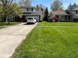 Katrina A.'s turf maintenance service result