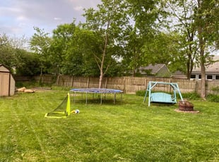 Walter H.'s lawn care service result