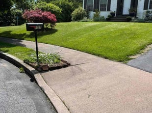 Christian O.'s grass maintenance service result