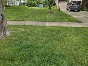 Frank S.'s lawn service service result
