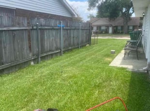Thomas M.'s turf care service result