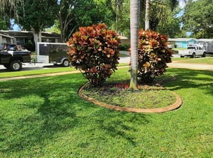 Kiran k.'s lawn maintenance service result