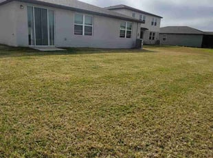 Cindy A.'s lawn care service result